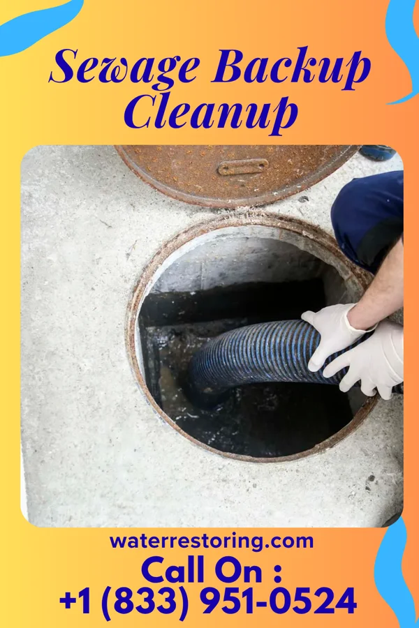 Sewage Backup Cleanup in Country Club, MO