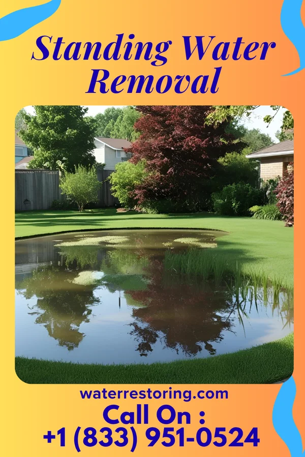Standing Water Removal in Country Club, MO